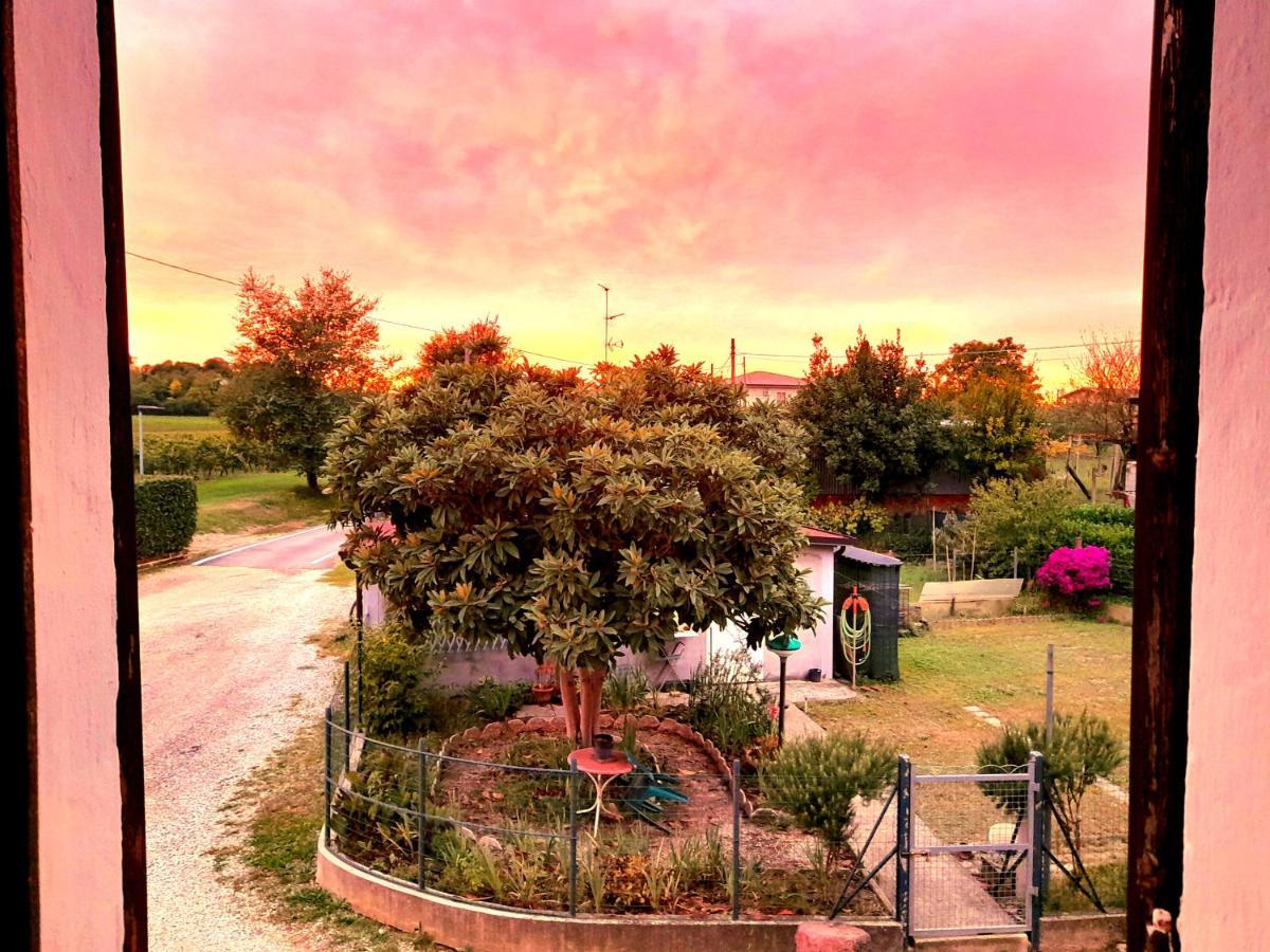 Zanina Country House Peschiera del Garda Buitenkant foto