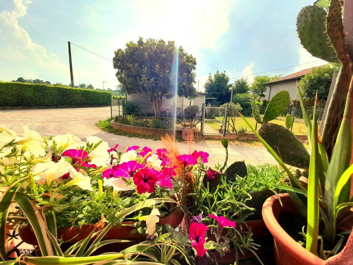 Zanina Country House Peschiera del Garda Buitenkant foto